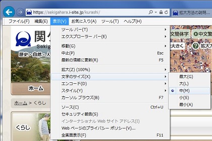 IEの表示メニュー