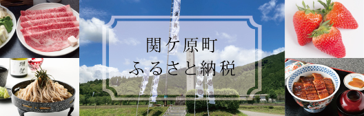 ふるさと納税