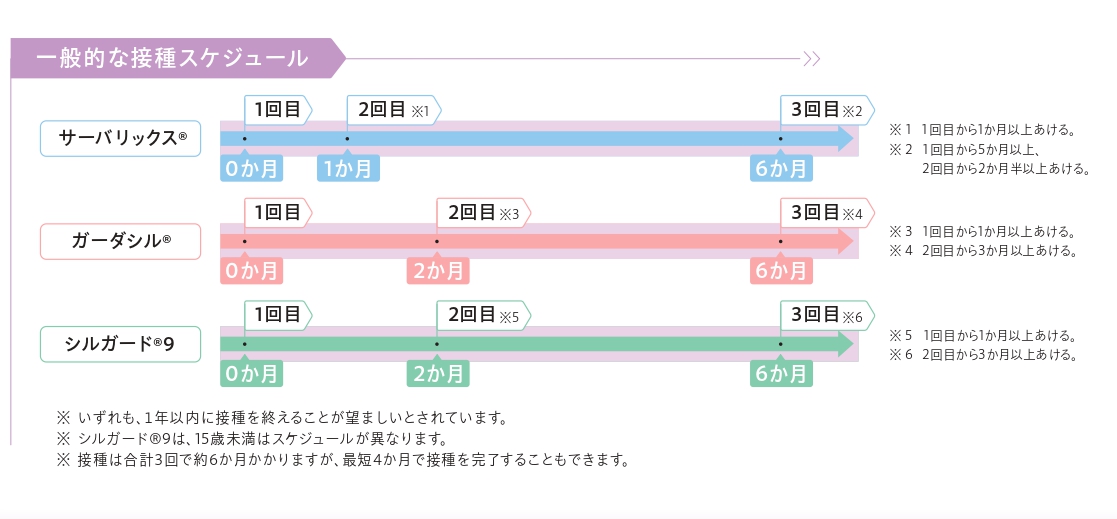 一般的なスケジュール